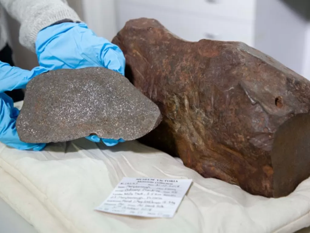 Meteorit Maryborough, dengan potongan lempengan dari massanya. (Museum Melbourne)