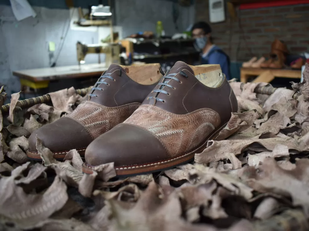 Sepatu berbahan kulit ceker (Z Creators/Robby Fathan)
