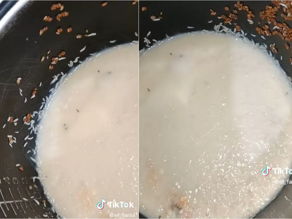 Rice cooker jadi sarang ulat (TikTok/el_fania)