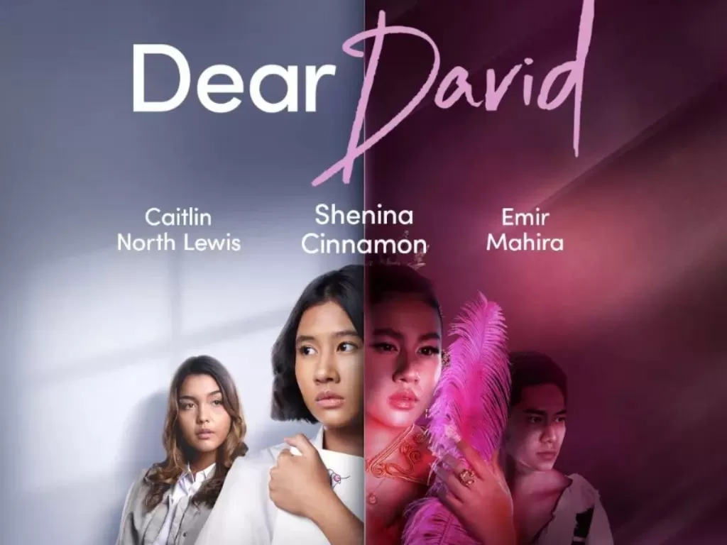 Poster Dear David (Netflix)