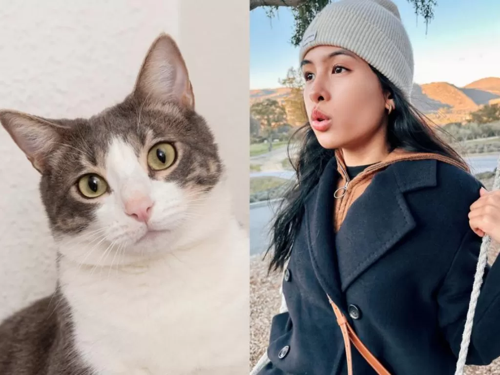 Maudy Ayunda takut dengan hewan kucing. (Freepik dan Instagram/maudyayunda)