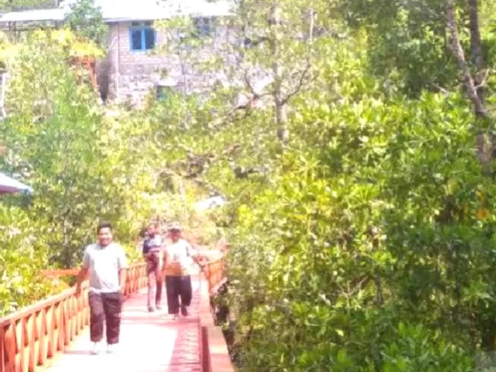 Pengunjung menikmati keasrian di Taman Wisata Mangrove di Kampung Ruar Biak. (ANTARA/Muhsidin)