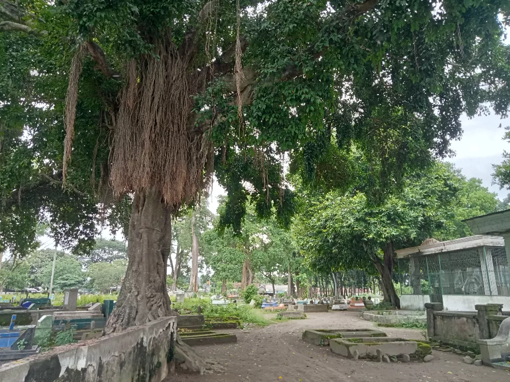Suasana makam Desa Ngujang Tulungagung. (Z Creator/Fimanto Imansyah)