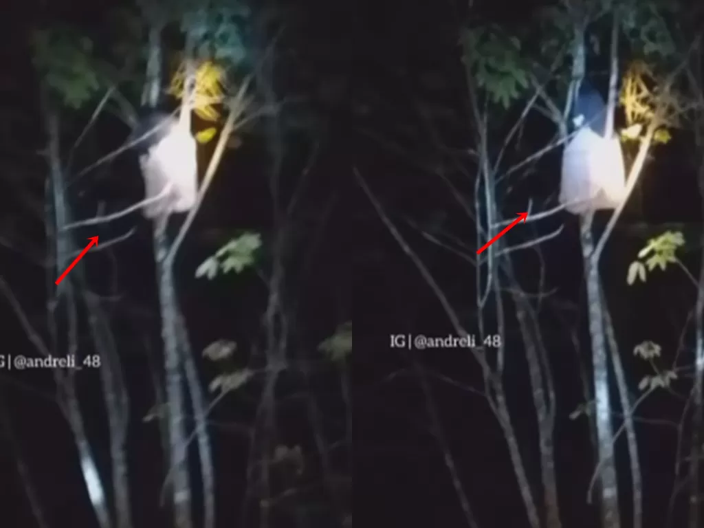 Tangkapan layar video santriwati kesurupan di atas pohon. (Instagram/andreli_48)