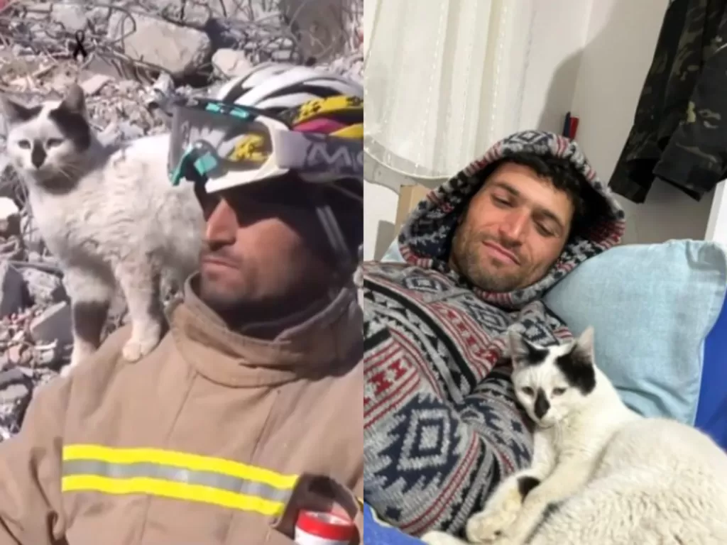Kucing yang diselamatkan pemadam kebakaran dari gempa bumi di Turki. (Twitter/@Gerashchenko_en) & (Instagram/@jcacs_1)