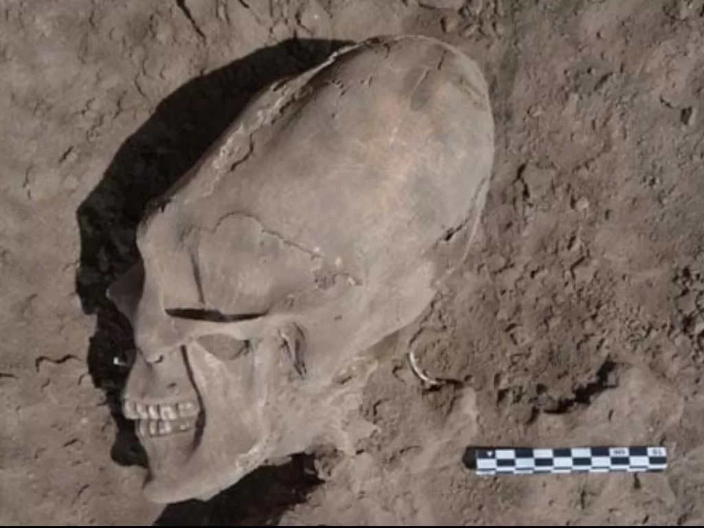 Tengkorak berbentuk kepala alien di makam kuno Meksiko. (Ancient Origins)