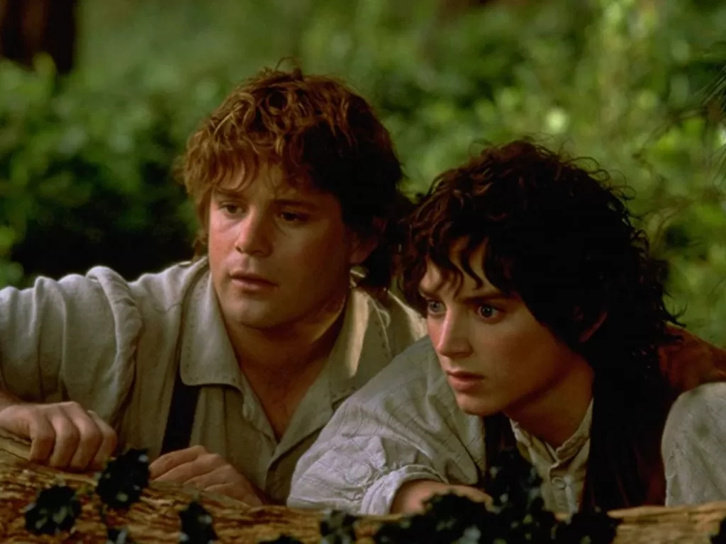 Potongan adegan dalam The Lord of the Rings (2001) (IMDb)