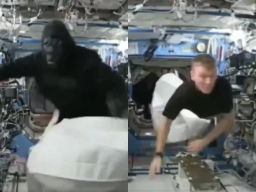 Seorang Astronot cosplay jadi Gorila dan menakuti temannya. (Twitter/@historyinmemes)