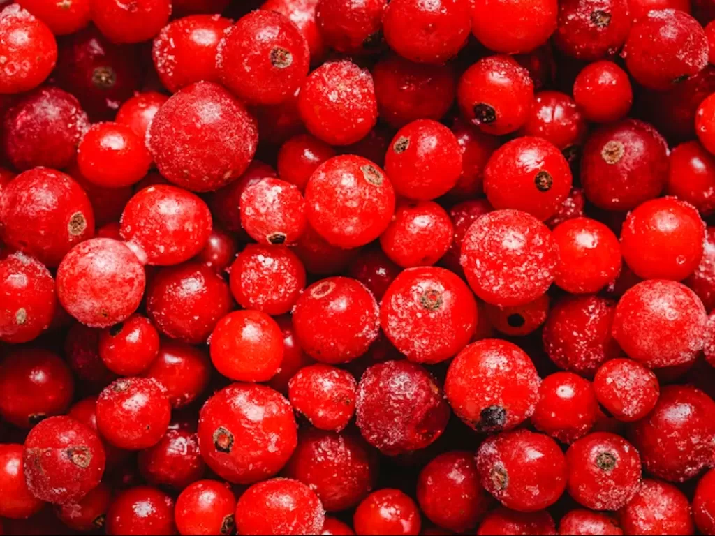 Ilustrasi buah cranberry. (FREEPIK)