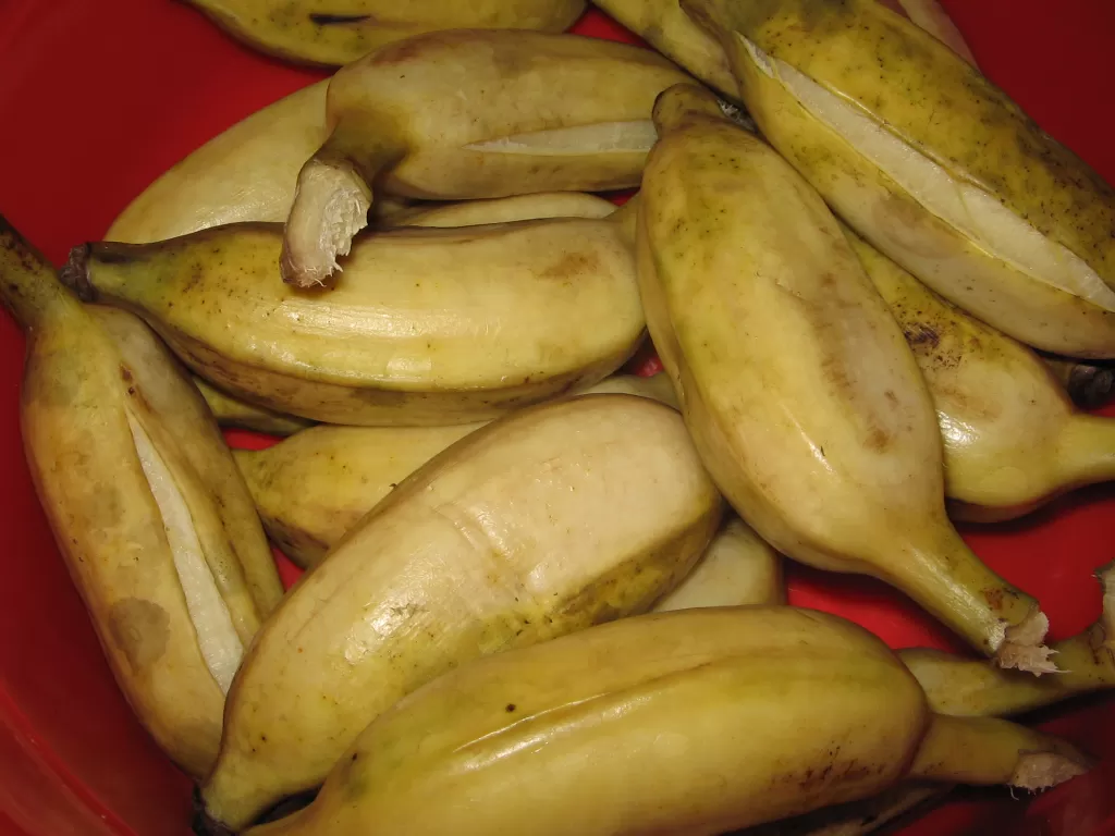 Ilustrasi pisang rebus. (wikipedia.org)