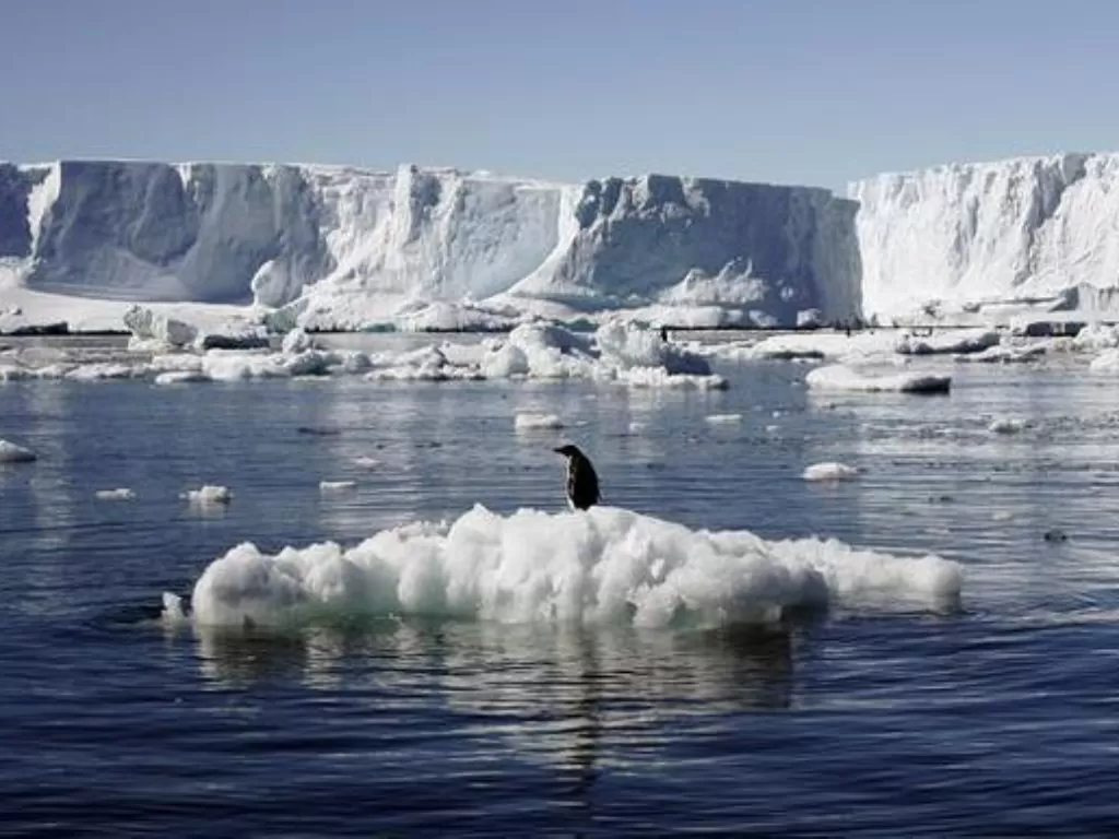 Ilustrasi Antartika. (REUTERS/Pauline Askin)