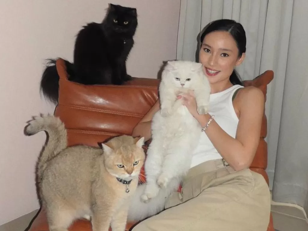 Tatjana Saphira dan 3 kucingnya. (Instagram/@tatjanasaphira)