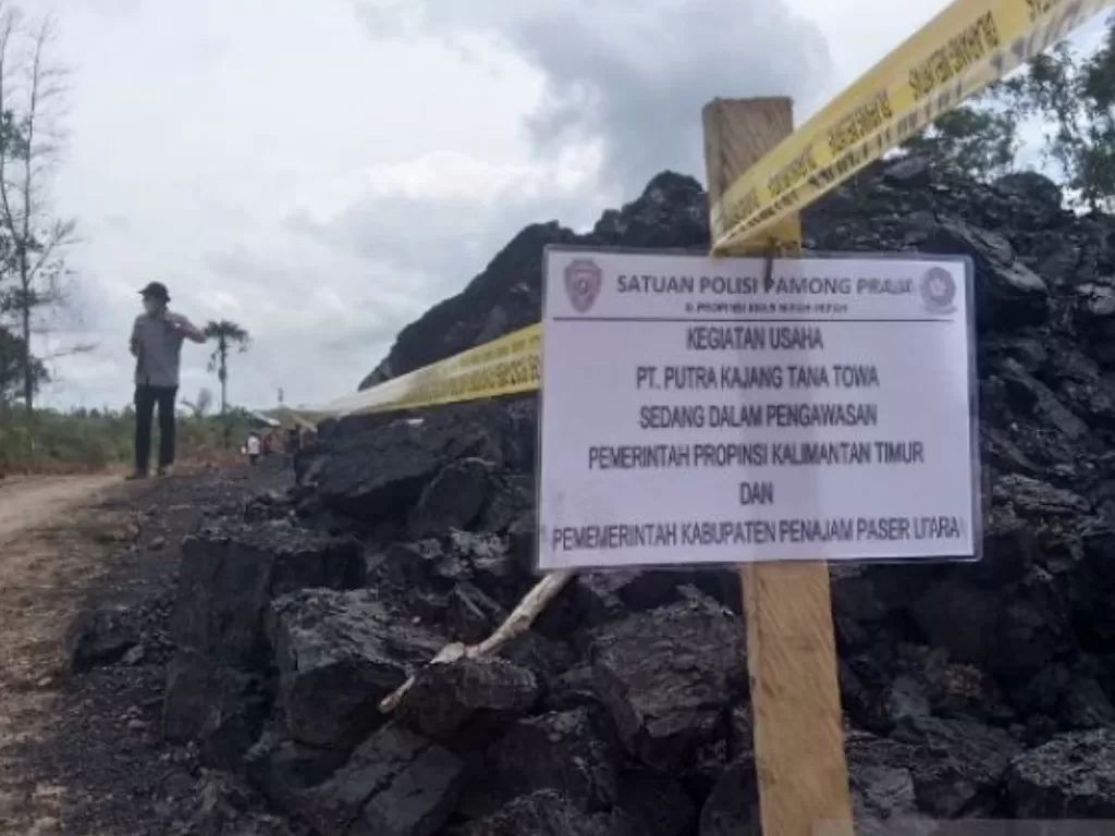 Tambang batu bara di Kecamatan Sepaku, yang sempat dihentikan operasionalnya oleh Pemerintah Kabupaten Penajam Paser Utara karena tidak memilik izin (Antaranews/Bagus Purwa)