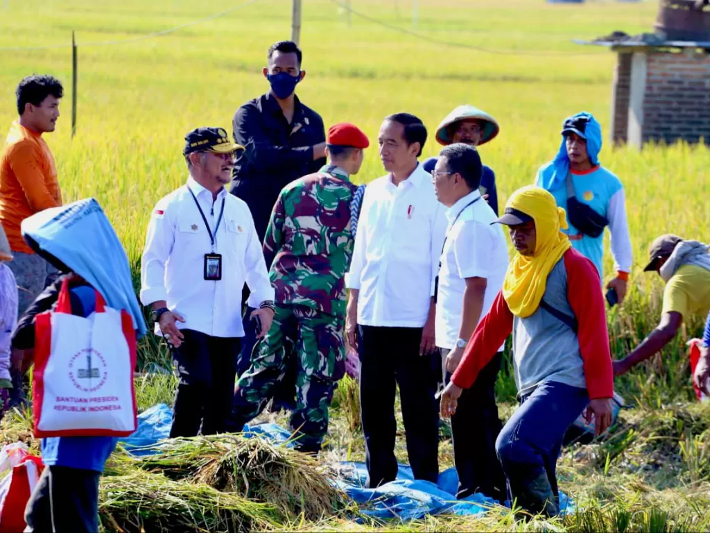 Presiden Jokowi ditemani Mentan SYL (Humas Kementan)