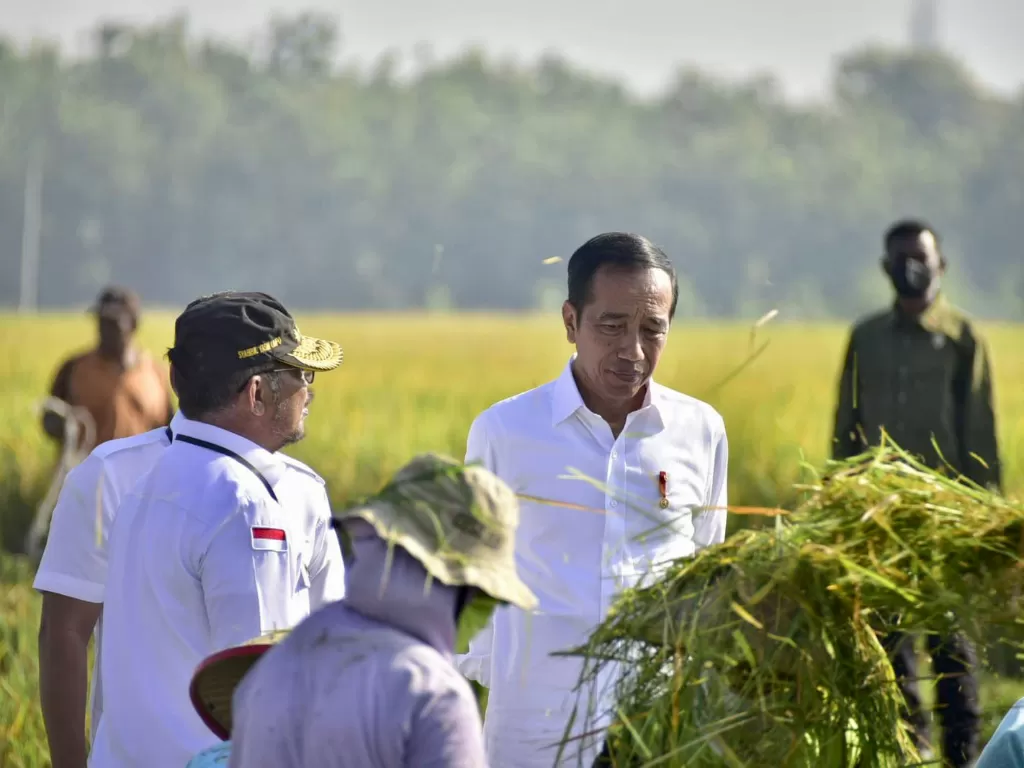 Presiden Jokowi senang produktivitas tinggi. (Dok. Kementan)
