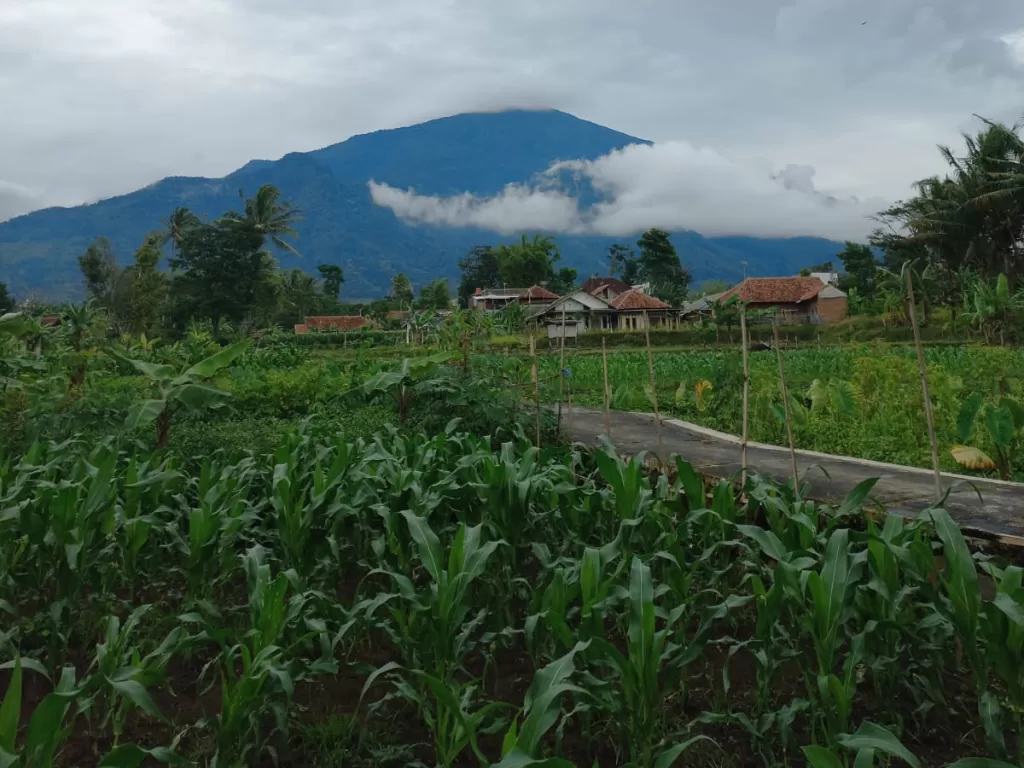 View Gunung Ciremai bisa disaksikan di Kabupaten Kuningan (Z Creators/Dewi Anggini)