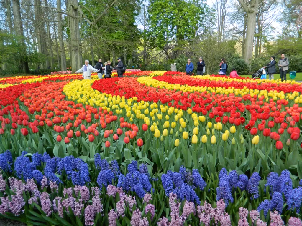 Hamparan bunga di Keukenhof Belanda (Z Creator/ Alan Munandar)
