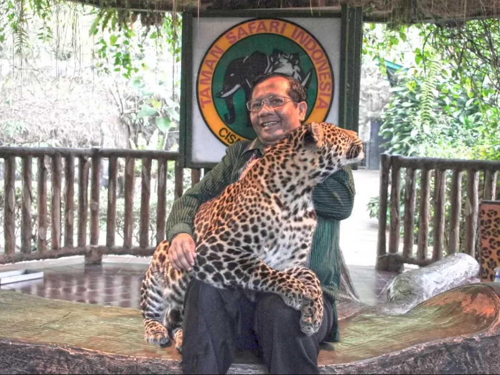Mahfud MD Foto Bareng Macan Tutul Hingga Anak Buaya di Taman Safari. (Twitter/mohmahfudMD). 
