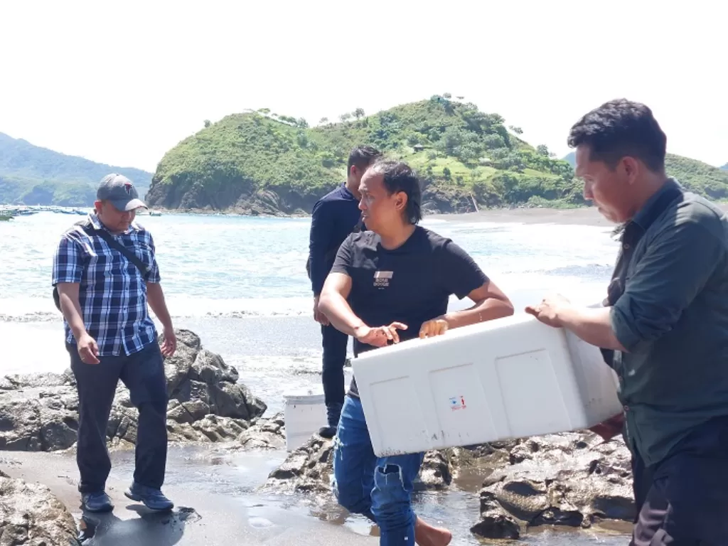 Polisi mengungkap penangkaran lobster ilegal di Jember. (Z Creators/Arkha Hatta)