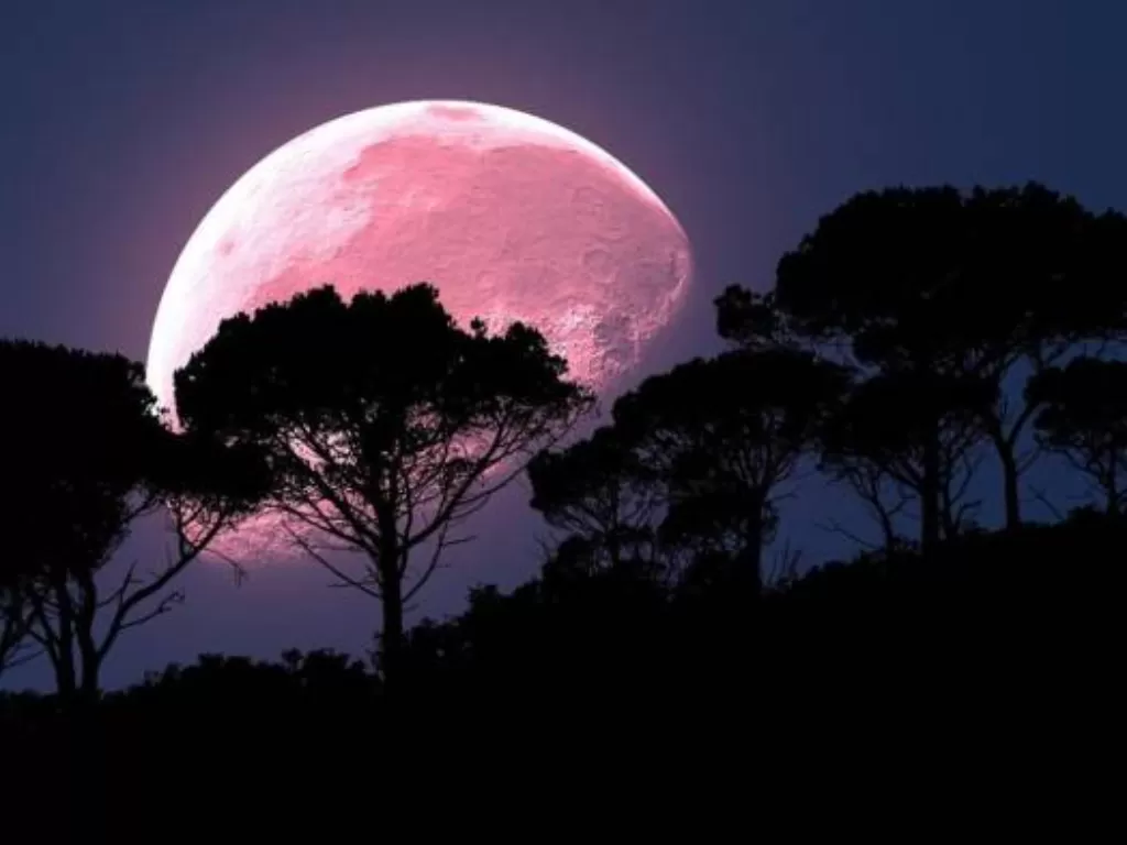 Ilustrasi super pink moon. (India Today)