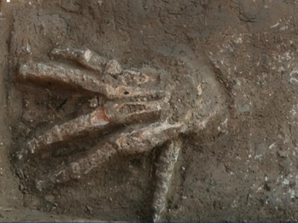 Satu tangan kanan di salah satu lubang, ditampilkan di permukaan telapak tangan dengan jari-jari terentang lebar. (Gresky et al., Laporan Ilmiah)