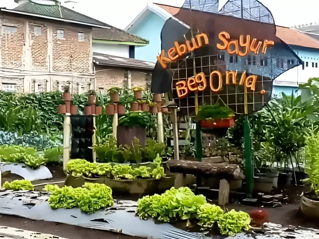 Kebun Begonia di Jalan Maribaya Lembang Bandung. (Z Creators/Vivi Sanusi)