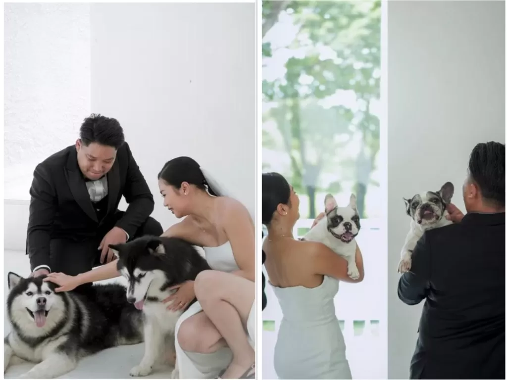 Hasil Foto Prewedding dengan Puluhan Anjing (Instagram/@pawviliondogcafe)