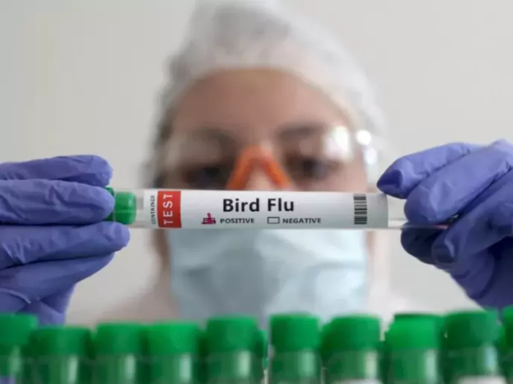 Ilustrasi flu burung. (REUTERS/Dado Ruvic)