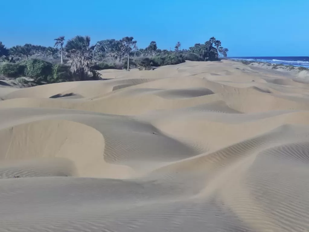 Hamparan pasir di Pantai Oetune NTT (Z Creators/Arianto Selly)