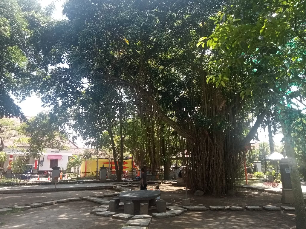 Pohon beringin di aloon-aloon Tulungagung (Z Creators/Firmanto Imansyah)