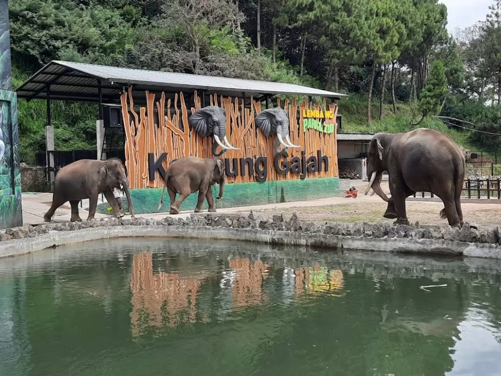 Lembang Park and Zoo. (Z Creator/Putra Ganesha)