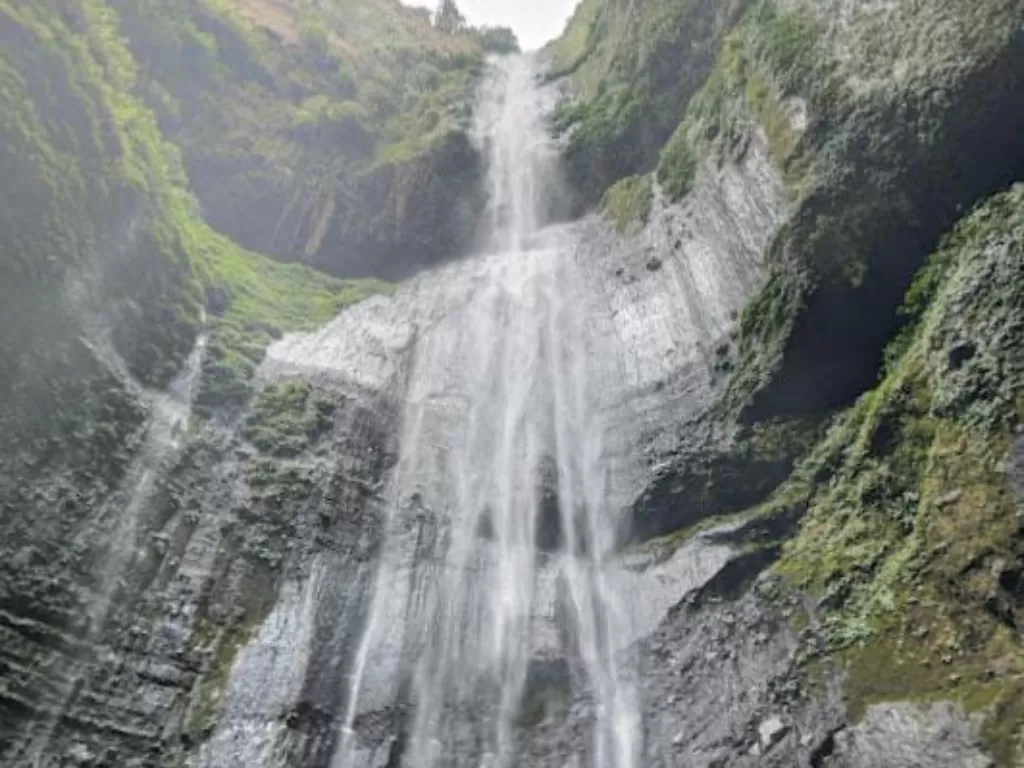 Air Terjun Madakaripura yang terletak di Probolinggo, Jawa Timur (Z Creators/Adila Fikri)
