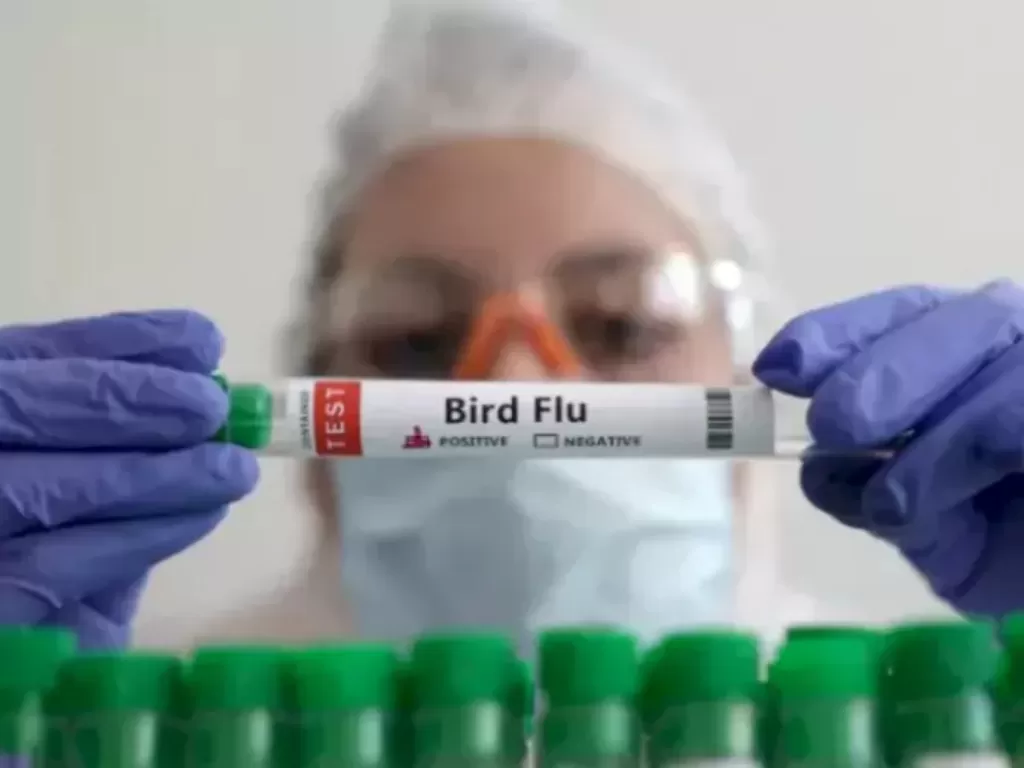 Inggris mendeteksi dua kasus flu burung pada manusia.