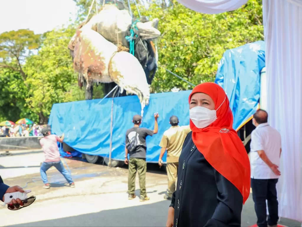 Gubernur Jatim, Khofifah Indar Parawansa mengawal langsung proses evakuasi bangkai ikan Paus Balin untuk dimuseumkan di Museum Satwa Jatim Park 2. (Z Creators/Mifta Sonia)