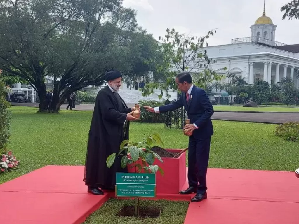 Presiden Joko Widodo melakukan penanaman pohon bersama Presiden Republik Islam Iran Seyyed Ebrahim Raisi di Istana Kepresidenan Bogor, Jawa Barat, Selasa (23/2/2023). (ANTARA/Mentari Dwi Gayati)