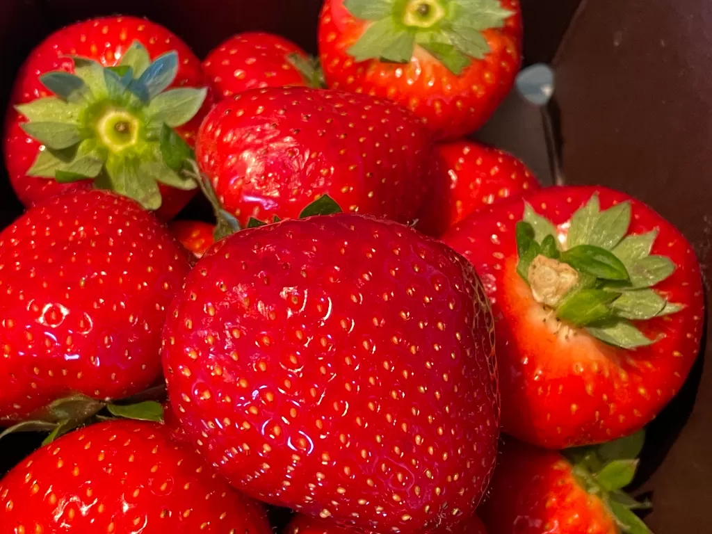 strawberry khas Belgia (Z Creator/Alan Munandar)