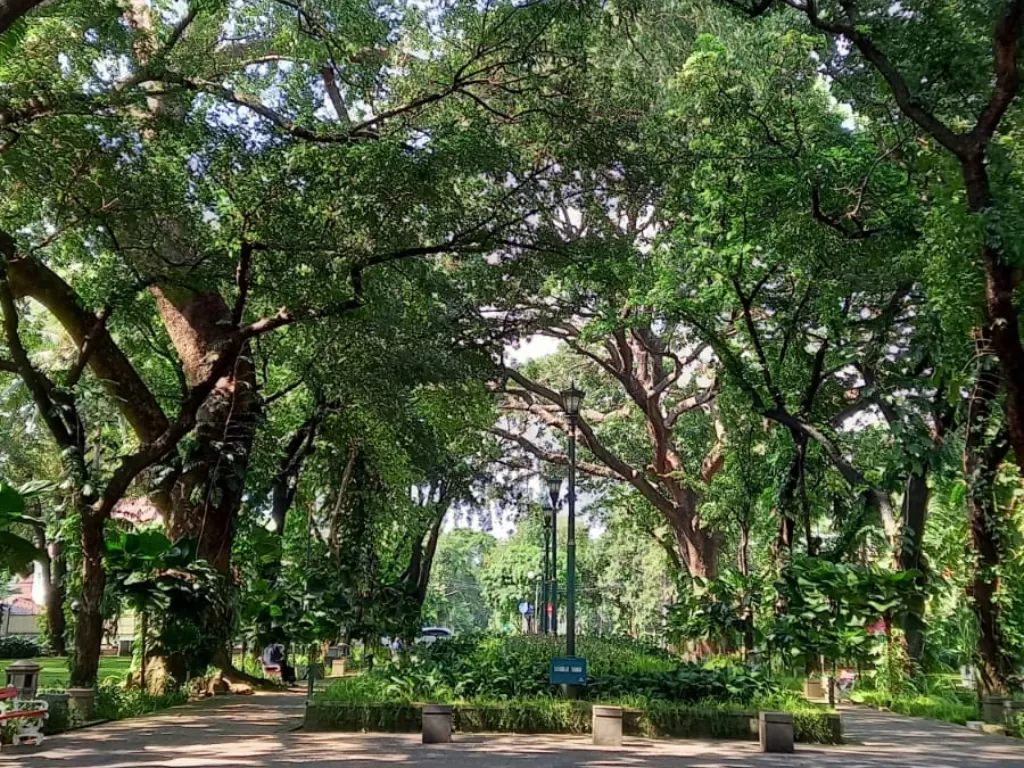 Ada banyak hal yang bisa kamu lakukan di Taman Suropati, yang merupakan salah satu taman tertua yang berada di Jakarta. (Z Creators/Mentari Meida)
