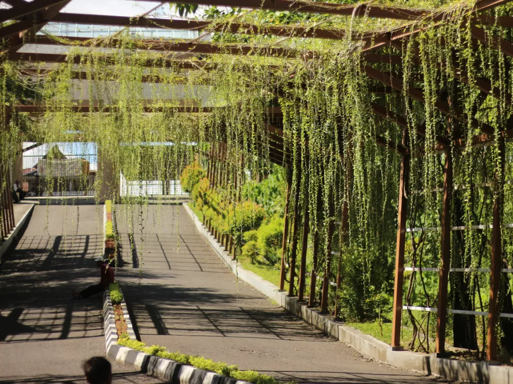 Kebun Raya Jompie, Parepare, Sulawesi Selatan. (Z Creators/Rudi Hartono)