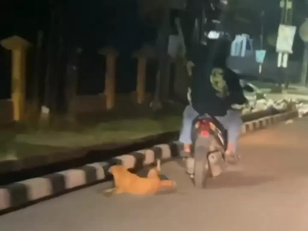 Aksi pengendara motor menyeret seekor anjing di Jambi. (Screenshot Instagram)
