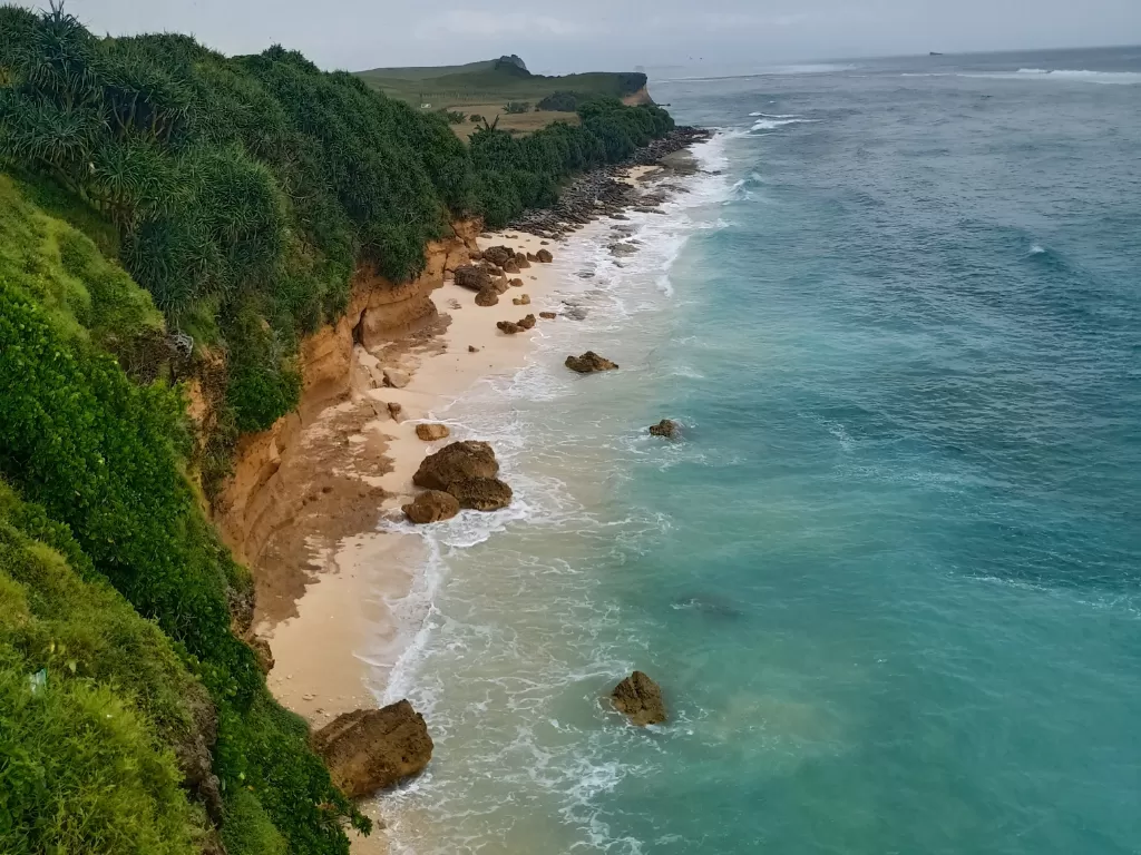Fakta Pantai Kura-kura di Lombok (Z Creator/Umaera) 