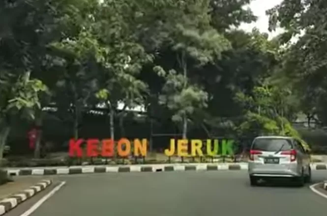 Sejarah Jakarta Asal Usul Nama Kebon Jeruk Akurat Jakarta