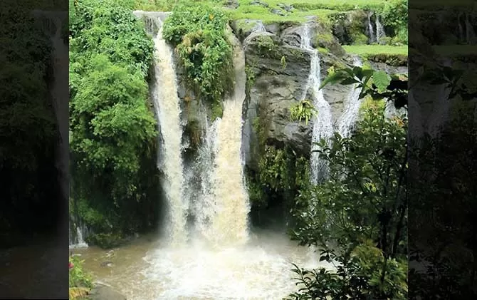 Merasakan Segarnya Air Terjun Kembar Arum Di Lereng Gunung Raung - Jawa Pos