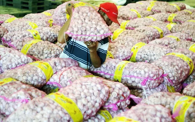 Wow, Harga Bawang Putih Tembus Rp 1 Juta - Jawa Pos