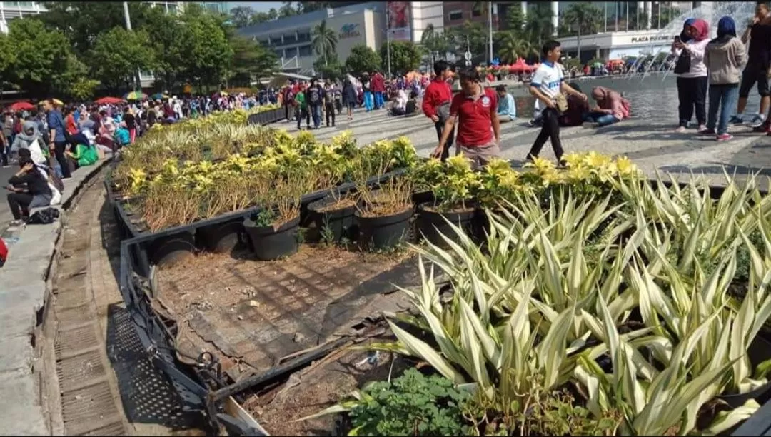 Dikritik Tidak Terurus, Dinas Kehutanan Ganti Tanaman Di Bundaran HI ...