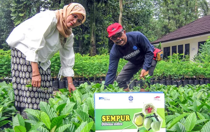 Kebun Plasma Nutfah LIPI Lestarikan Buah Langka Nusantara - Jawa Pos