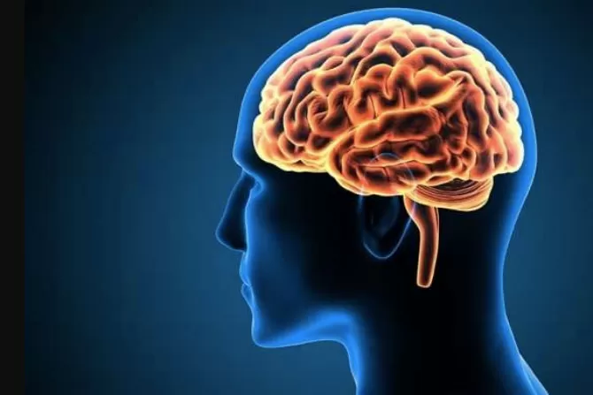 Cegah Gangguan Fungsi Otak Akibat Trauma Keras Pada Kepala Anak - Jawa Pos