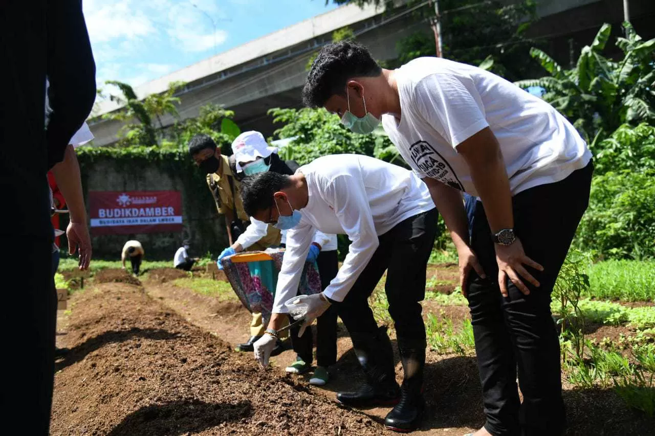 Cerita Petani Milenial Hidupkan Lahan Sempit Di Bogor - Jawa Pos