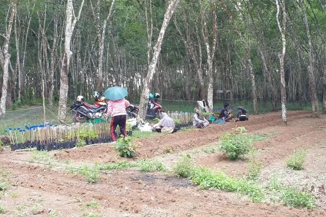 Polda Sumsel Proses 33 Kasus Konflik Agraria - Jawa Pos