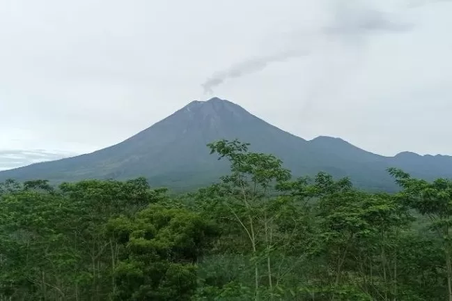 PPGA Sebut Aktivitas Gunung Semeru Masih Didominasi Gempa Letusan ...