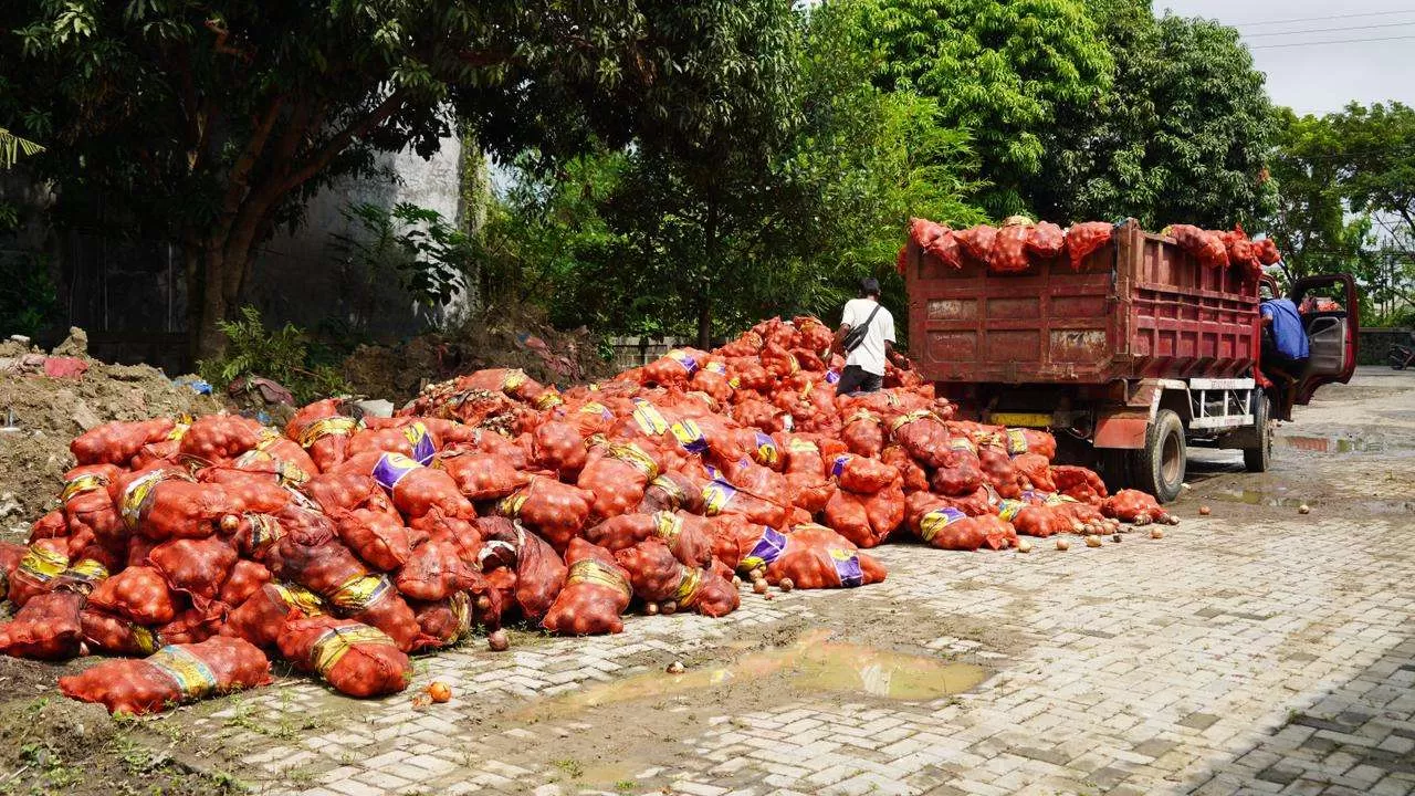 Polrestabes Semarang Musnahkan 6.171 Karung Bawang Bombay Ilegal Tanpa Dokumen (Kliksolonews/dok)